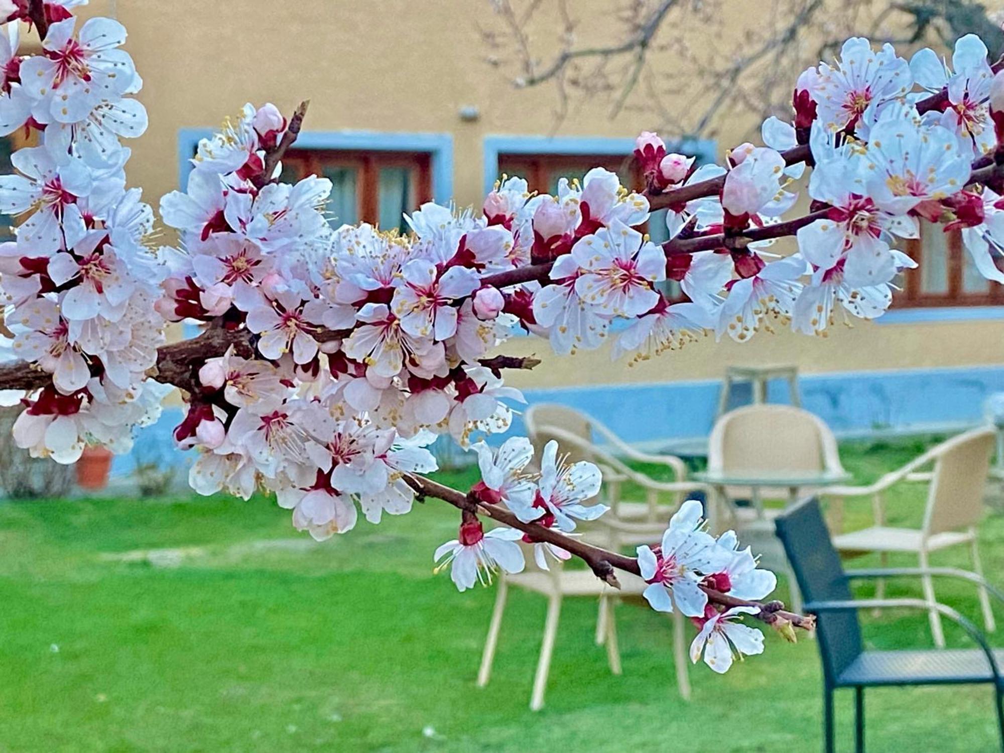 Hotel Palam Hills 레 외부 사진