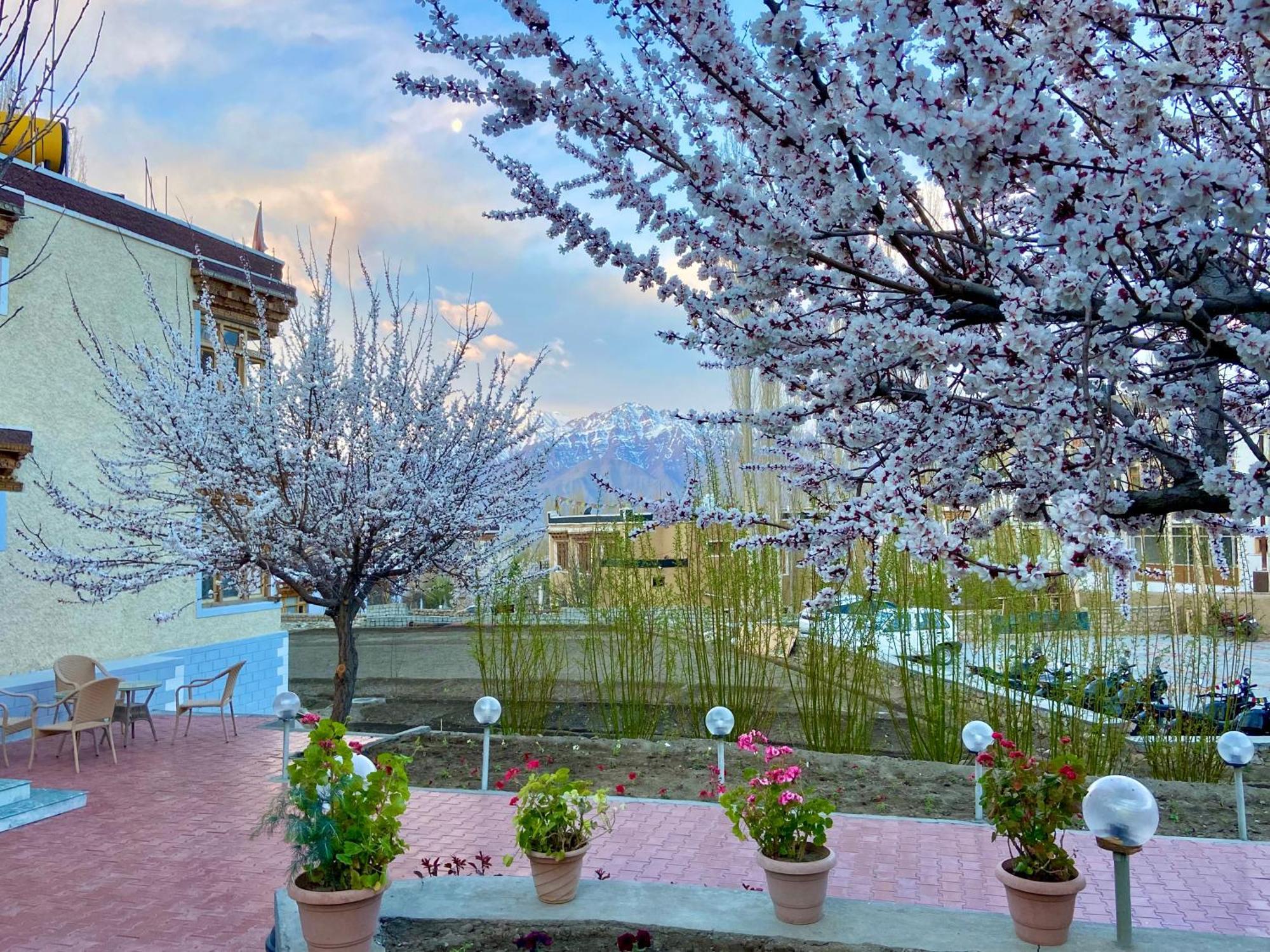 Hotel Palam Hills 레 외부 사진